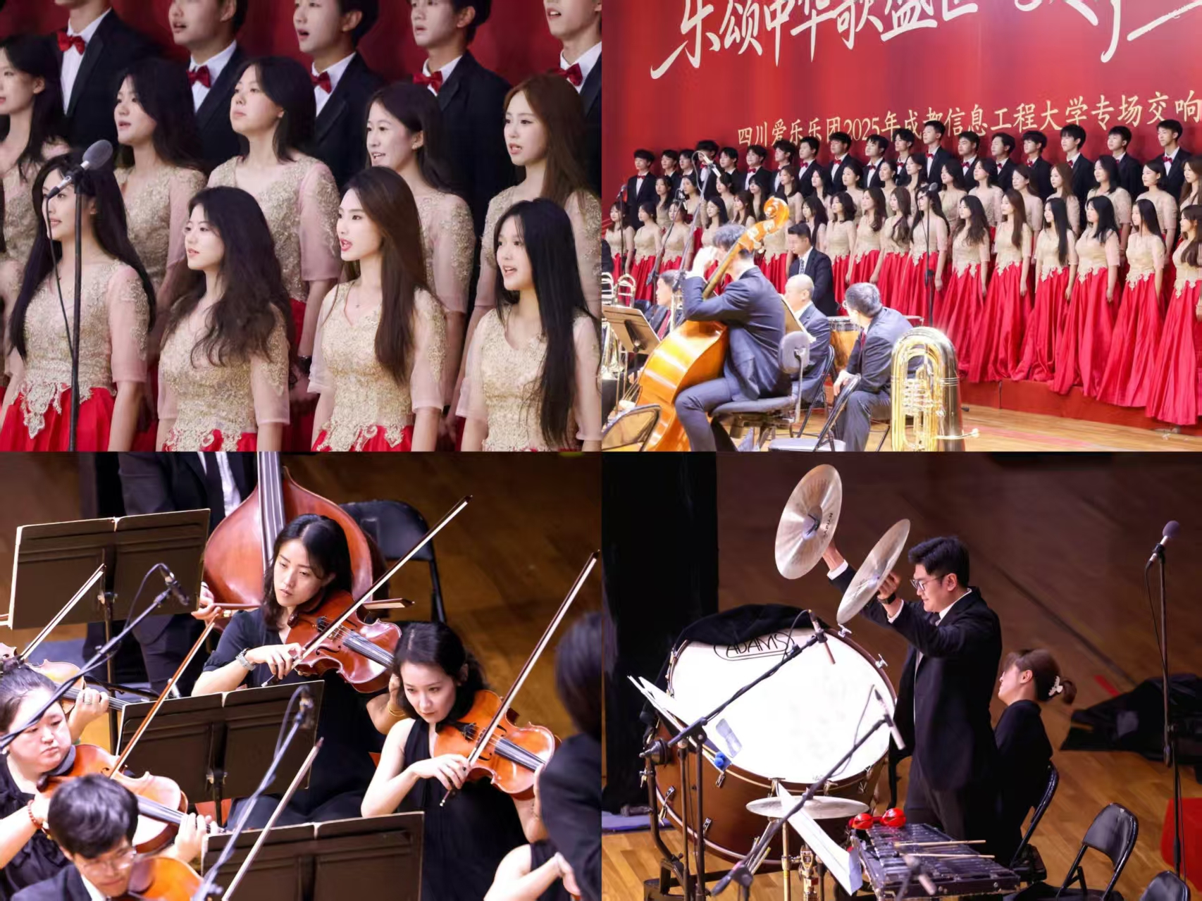 william威廉英国官网