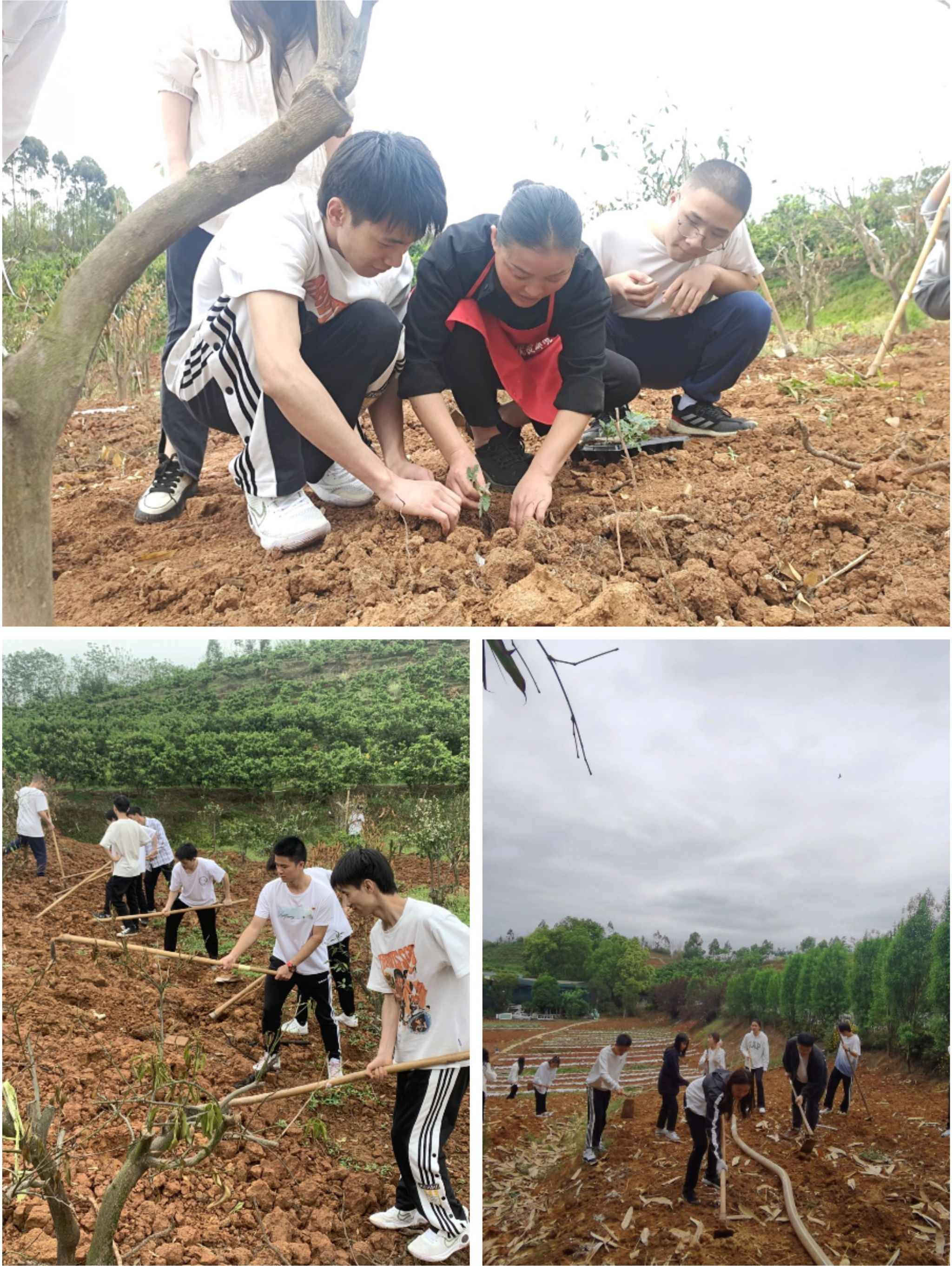 william威廉英国官网